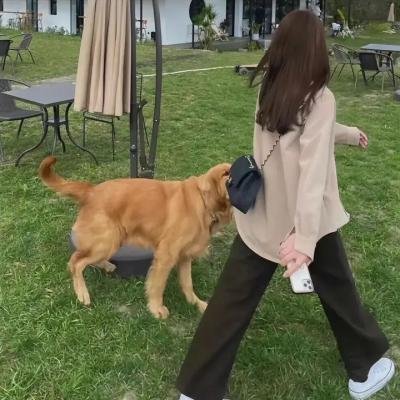 惊爆死亡角