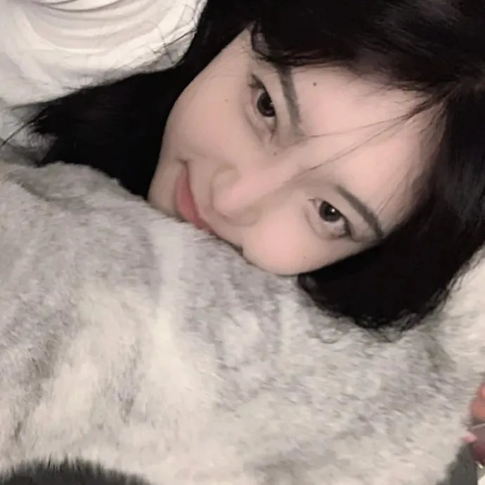 知更鸟罗宾